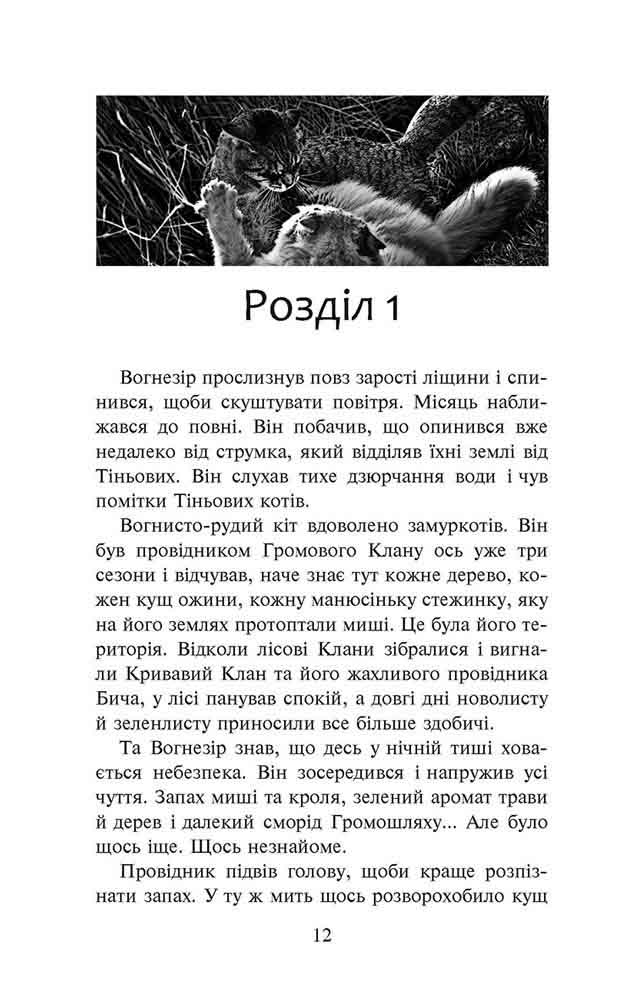 Коти-вояки. Шлях Вогнезора. Спеціальне видання (з пошкодженнями) - інші зображення